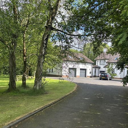 Treetops Coleraine Exterior photo