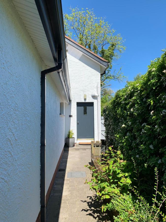 Treetops Coleraine Exterior photo